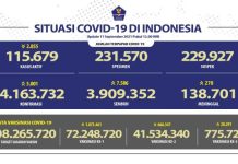 Sebaran Kasus Covid-19 di Indonesia Pada 11 September 2021: Jabar Sumbang 446 Kasus Baru Ist