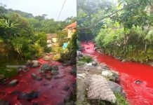 DLH Jabar Lakukan Investigasi Soal Pencemaran Sungai Cimeta di Bandung Barat DLH Jabar Lakukan Investigasi Soal Pencemaran Sungai Cimeta di Bandung Barat