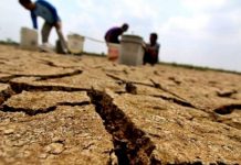 Antisipasi Dampak El Nino, BPBD Jabar Berkoordinasi dengan Wilayah Kabupaten Kota yang Rawan Terkena Dampak