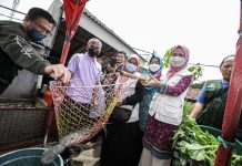 Cegah Stunting, TP PKK Kota Bandung Panen Raya Lele Budikdamber di Kelurahan Karang Pamulang Kota Bandung