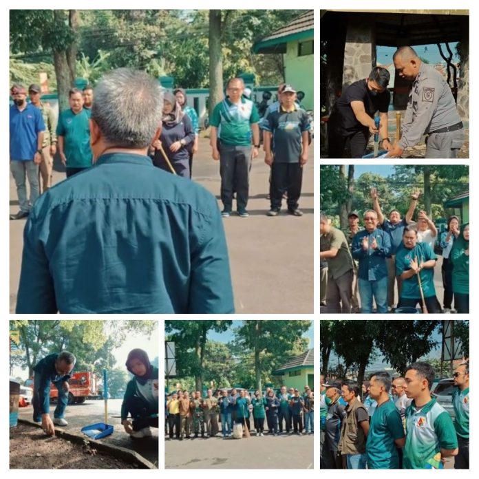 IMG_20251031_191143-COLLAGE