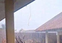 Hujan Deras Dan Angin Kencang Sebabkan Pohon Tumbang di SMAN 1 Ciparay Kecamatan Ciparay Kabupaten Bandung.